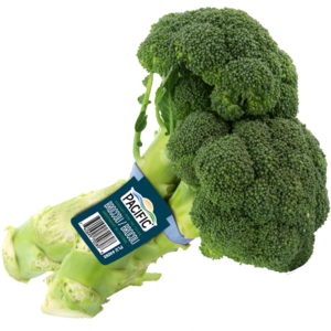 Fresh Organic Broccoli from United States supplied by Pure Pacific Organics - Whole Fresh Headed Broccoli