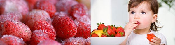 Frozen Strawberries from Chile supplied by Patagonfoods Ltda. - Red Fresh Strawberry
