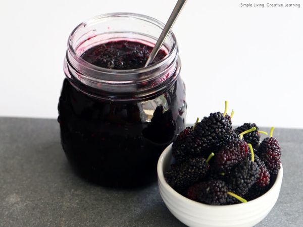 Mulberry Jam from 남아프리카공화국 supplied by Fontein Guest Farm - 잼 및 마멀레이드 오디잼