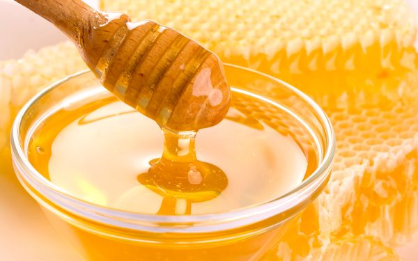 Honey from 폴란드 supplied by Grotek Bracia - Dandelion 꿀