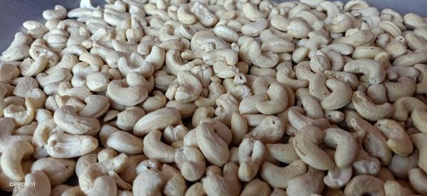 Cashew Nuts from 인도 supplied by NS Cashew Company - Raw 캐슈너트 알맹이