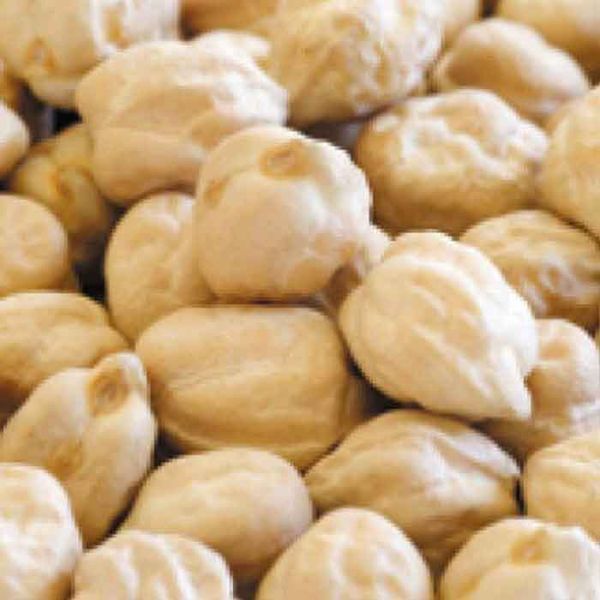 Chickpea from United Arab Emirates supplied by Spice Star - Kabuli Dried Chickpea