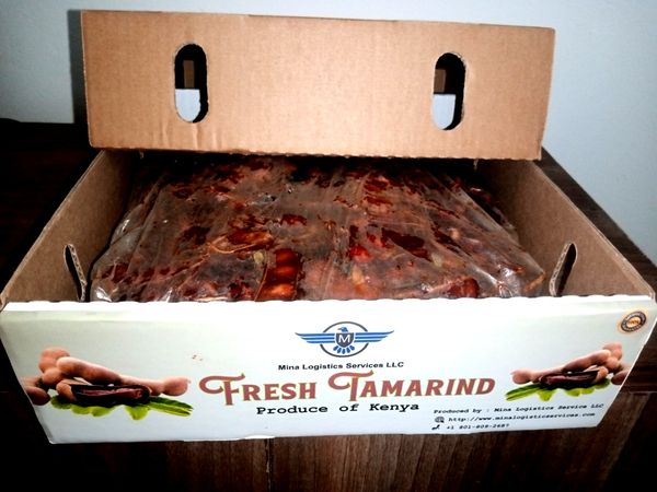 Tamarind from 케냐 supplied by Mina Global Foods Supplies LLC - Fine Quality 신선 타마린드