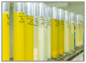 Lemon Concentrate from South Africa supplied by Venco Fruit Processors (Pty) - Concentrate Lemon Juice