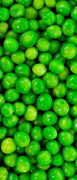 Green Pea from 미국 supplied by Nexus Trading Group, Llc - Unspecified 말린 일반 콩