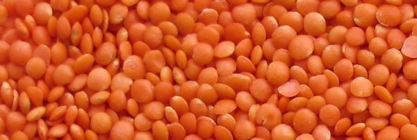 Lentil from 스리랑카 supplied by Green Tree Pulses - Decorticated (=Football) 말린 렌틸