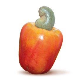 Frozen Cashew Pulp from Italy supplied by Nectarvis srl - Pulp Cashew Apple