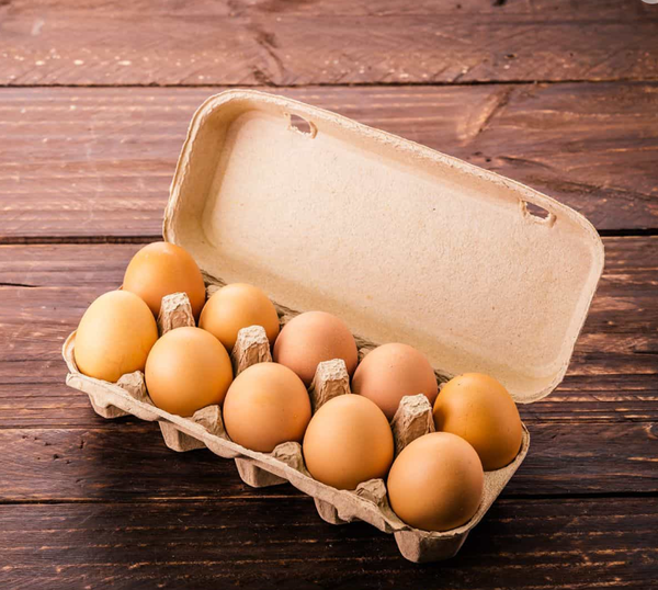 Egg from Ukraine supplied by EFI-AGRO - Raw Chicken Egg