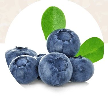 Blueberry from 포르투갈 supplied by Cerfundão - Embalamento e Comercialização de Cereja da Cova da Beira Lda - Ozarkblue 신선 블루베리