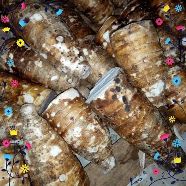yams from 우간다 supplied by EES ORGANIC FOOD LIMITED - High Quality 얌