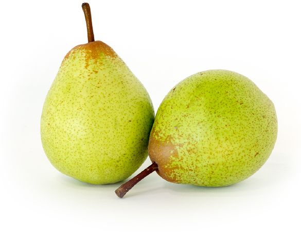 Fresh Rocha Pear from Portugal supplied by FERREIRA DA SILVA - IMPORT AND EXPORT, SA - Rocha Fresh Pear