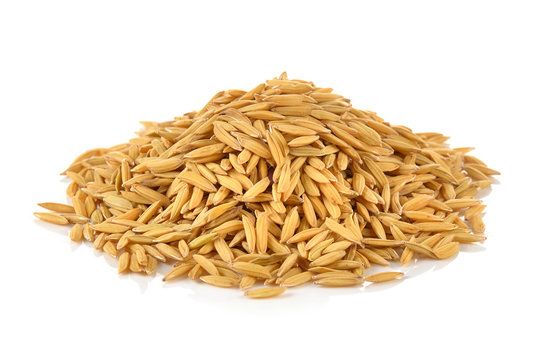 Rice Bran from 가이아나 supplied by Golden Fleece Rice Investment Inc. - For Food 쌀겨
