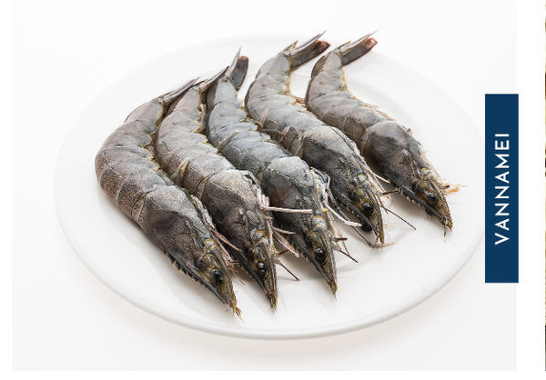 Shrimp from 미국 supplied by Arkshell Corporation - Fresh (=Chilled=Raw) 냉동 새우