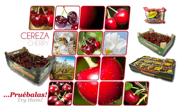 Cherry from Spain supplied by COSANSE, SDAD. COOP. AGRARIA SAN SEBASTIÁN - Whole Fresh Sweet Cherry