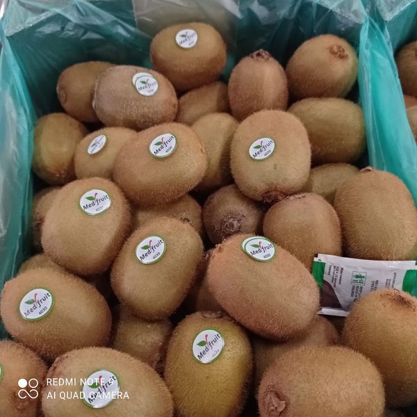 Fresh Whole Kiwifruit from 그리스 supplied by MED FRUIT L.T.D. - Tsechelidis 신선 키위