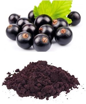 Maqui Berry Powder from 영국 supplied by Andean Grain - Powder 마퀴베리