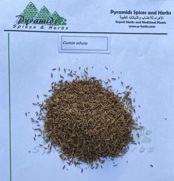 Cumin whole from 이집트 supplied by Pyramids Spices And Herbs - Dried 커민 씨