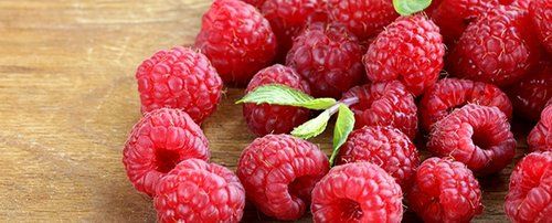 Red Raspberries from 미국 supplied by Samson Farms, LLC. - Red 신선 라즈베리