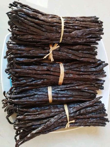 Vanilla from Uganda supplied by Kisap agro trading company limited Uganda - 18-22cm Vanilla