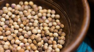 Coriander Seed from 인도 supplied by Shiv ImpEx - Round 고수 씨(홀)