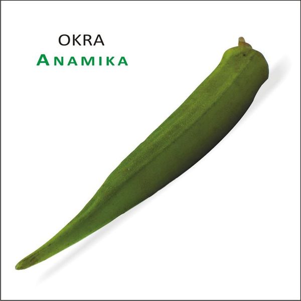 Okra from 우간다 supplied by Green Nile Agrotech Limited - Green 신선 오크라
