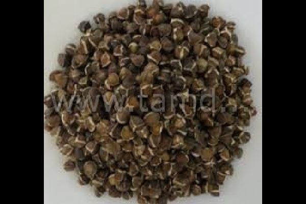 Moringa Seed from Nigeria supplied by Tamdago Nig Ltd - Seed Moringa