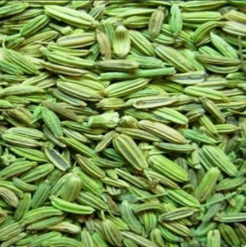 Fennel Seeds from India supplied by Shri Venue Exports - Dried Fennel Seed