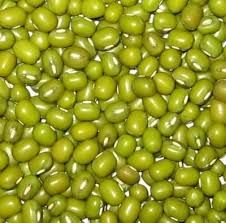 Green Mung Beans from South Africa supplied by Promiseland Import and Export Group - Jute Bag (50kg) Dried Mung Bean