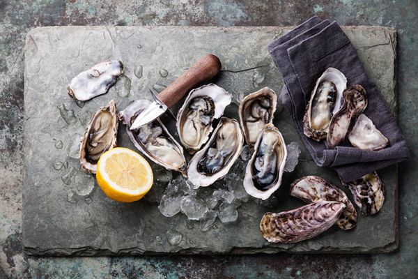 Carlingford Oyster from Ireland supplied by Carlingford - Fresh (=Chilled=Raw) Fresh Oyster
