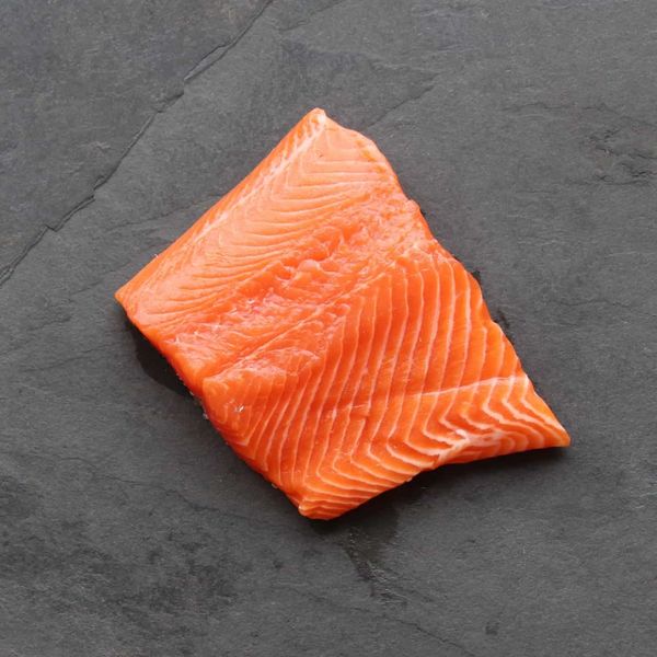 frozen trout fillet from 튀르키예 supplied by antalya balik a.s. - Frozen 냉동 송어