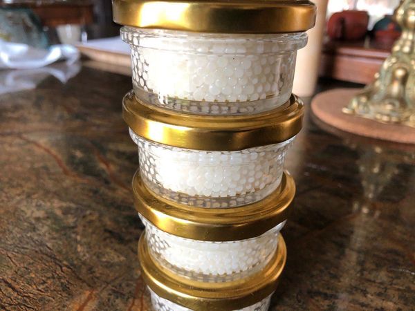 Snail Caviar Helix Aspersa Muller from 우크라이나 supplied by KOSH - 달팽이 캐비어