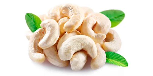 Cashew Nuts (Whole) from Brazil supplied by Cione - Companhia Industrial de Óleos do Nordeste - Cashew Nut Cashew Nut Kernel