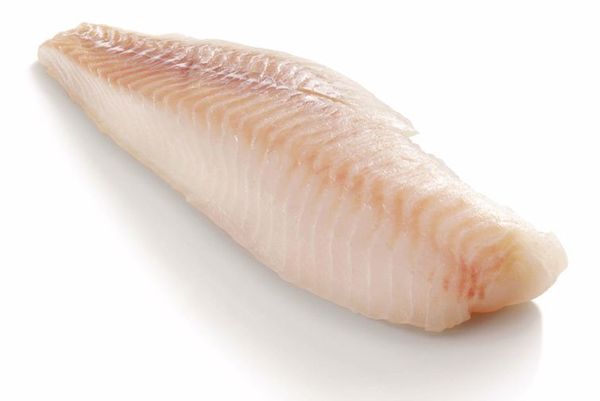 Fresh Atlantic Cod from Iceland supplied by Ny-Fiskur - High Quality Frozen Cod