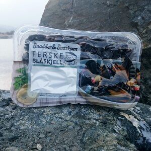 Fresh Organic Mussel from 노르웨이 supplied by SNADDER OG SNASKUM AS - Live 냉동 홍합