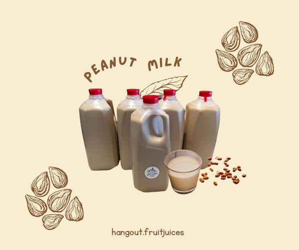 Peanut Milk from 미국 supplied by Hangout Fruit Juices & Bites - Liquid 기타 우유
