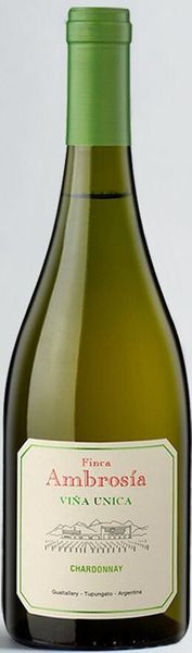 Vina Unica Chardonnay from 아르헨티나 supplied by Finca Ambrosia - 화이트 와인