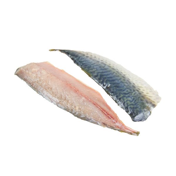 Butter mackerel fillet from 독일 supplied by Cux Fisch Ditzer GmbH - Fillet 냉동 고등어