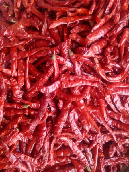 Dry Red Chillies from India supplied by Nakshath Agri Private Limited - Cracked Allspice