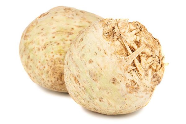 Dutch Celeriac from Netherlands supplied by Holland Food Trade - Carton Box (=Cardboard Box) Celeriac