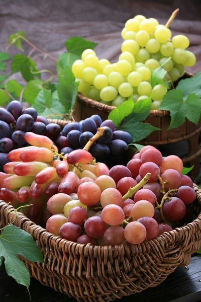Fresh Grapes from 인도 supplied by phoenix  agro services - Fresh (=Chilled) 신선 포도