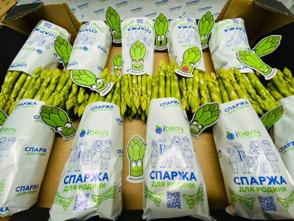 Asparagus from 우크라이나 supplied by Nikdaria LLC (TM iBerry) - Whole 신선 아스파라거스