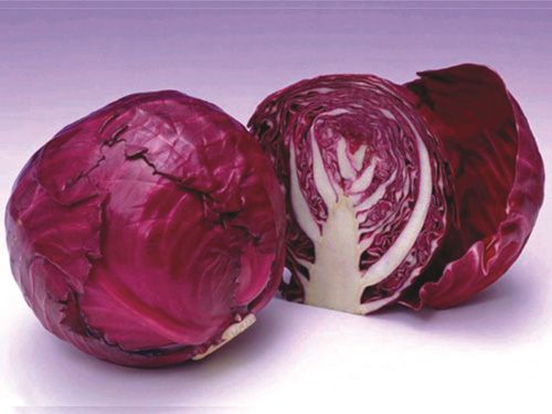 Fresh Cabbage from 중국 supplied by Shouguang Peiling Vegetable & Food Co. Ltd - Chinese Cabbage 신선 양배추
