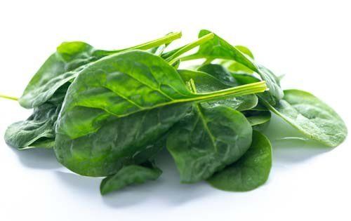 Baby Spinach from 호주 supplied by Australian Fresh Salads - Green 신선 시금치