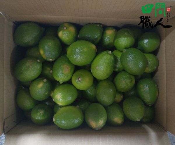 Lemon from Taiwan supplied by Tama Shokunin - High Quality Fresh Lemon