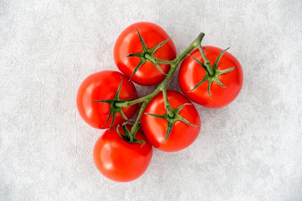Fresh Tomato from 캐나다 supplied by Lakeside Produce - Other - Brunetta 신선 토마토
