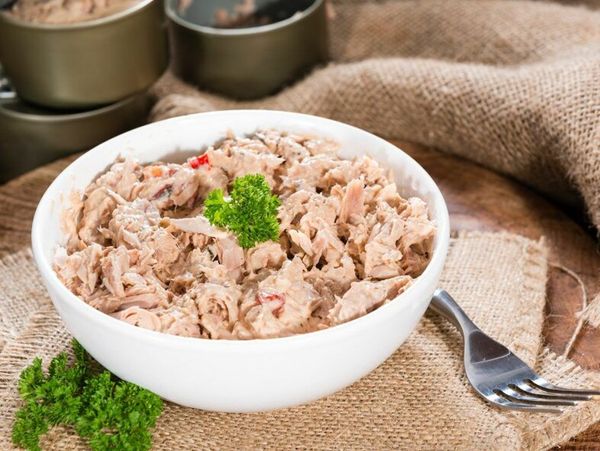 Tuna from 이탈리아 supplied by Alva egoh - Atlantic Bluefin Tuna (=Thunnus thynnus =Giant Bluefin Tuna =Northenr Bluefin Tuna =Maguro =Toro) 참치 통조림