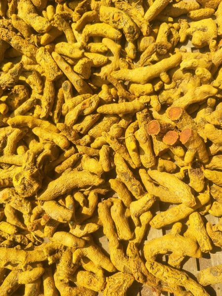 Turmeric from 아랍 에미리트 연합국 supplied by Sabbar Foodstuff Trading.Est - Polished 튜메릭