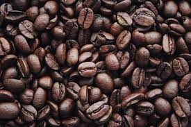 Coffee from United States supplied by VIVAI PIANTE F.LLI ROMITI MARIO E MARCO S.S. - Raw (=Unroasted=Green Coffee Beans) Raw Common Coffee Bean