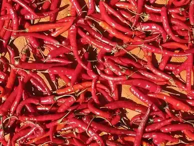 Red Chilli Pepper from 나이지리아 supplied by Chairman Export Company - 슈퍼 핫 말린 통고추