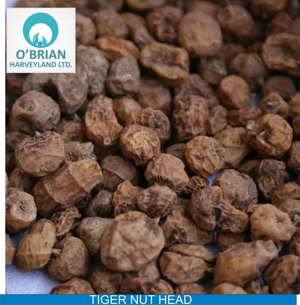 tigernut head from 나이지리아 supplied by Obrian Harveyland Ltd - As per customer's request 기타 과일 가공품